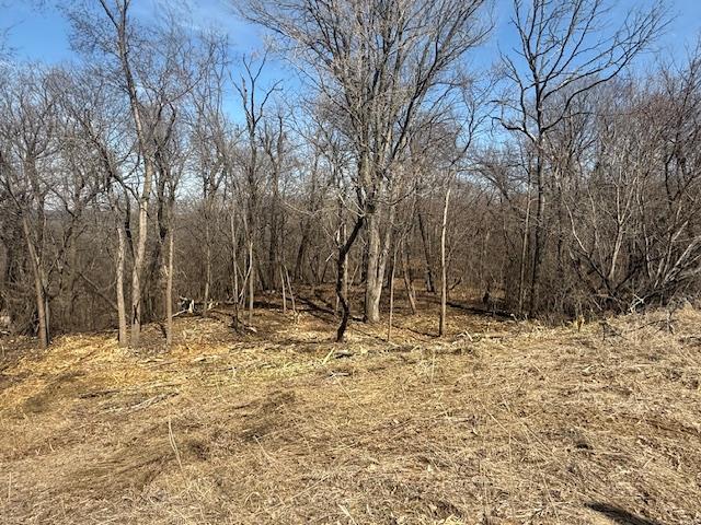 328 Limestone Rd, Cannon Falls, MN 55009
