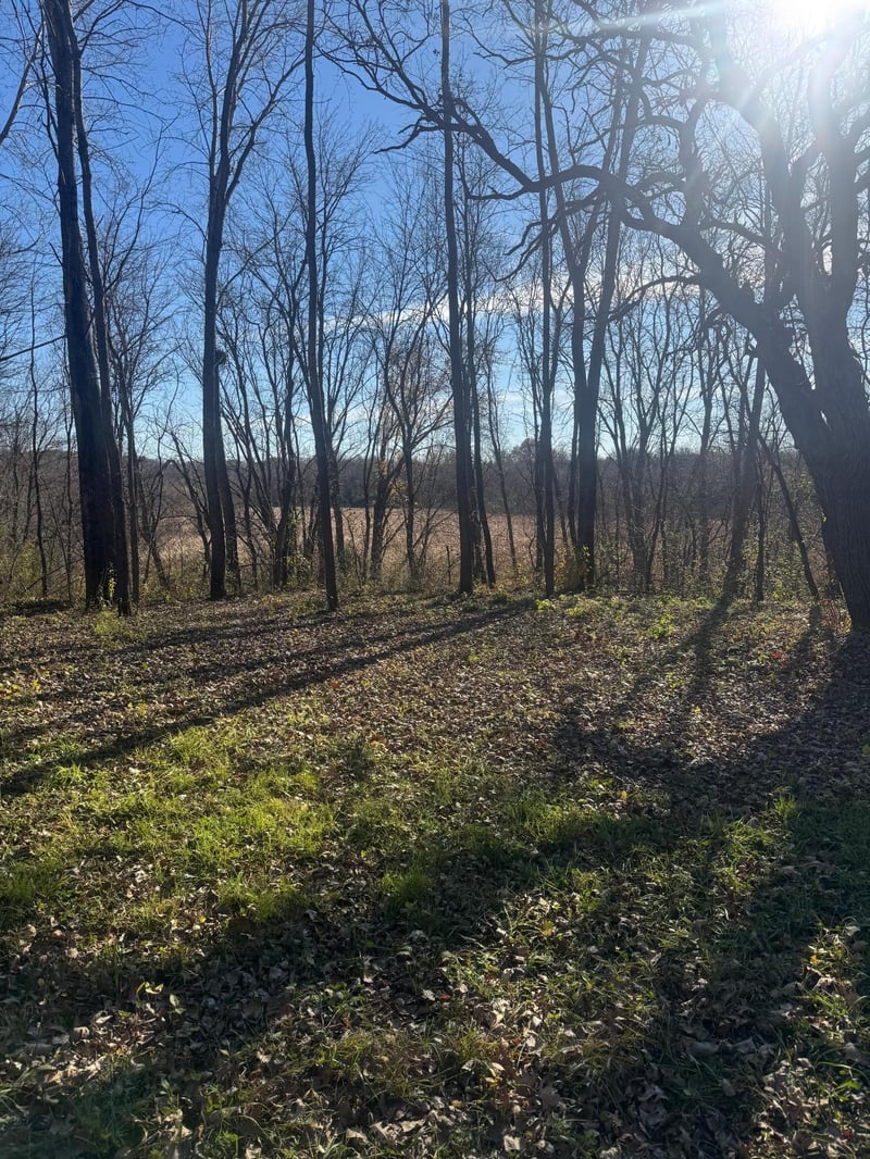 TBD 250th St E, Elko New Market, MN 55020