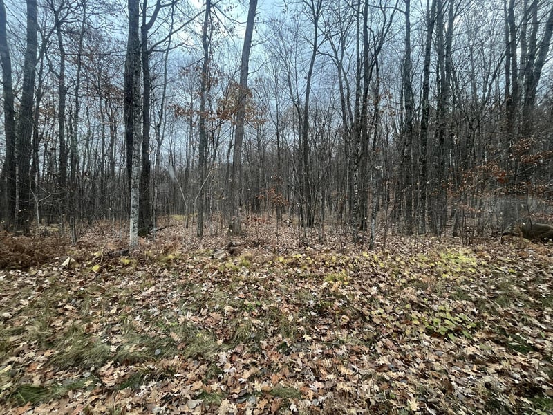 TBD Ham Lake Rd, Stone Lake, WI 54876