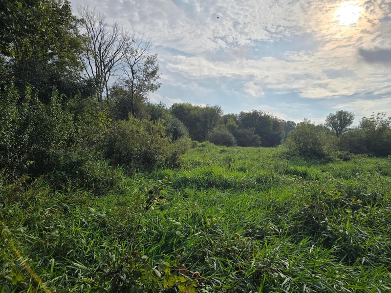 TBD Tbd, Ham Lake, MN 55304