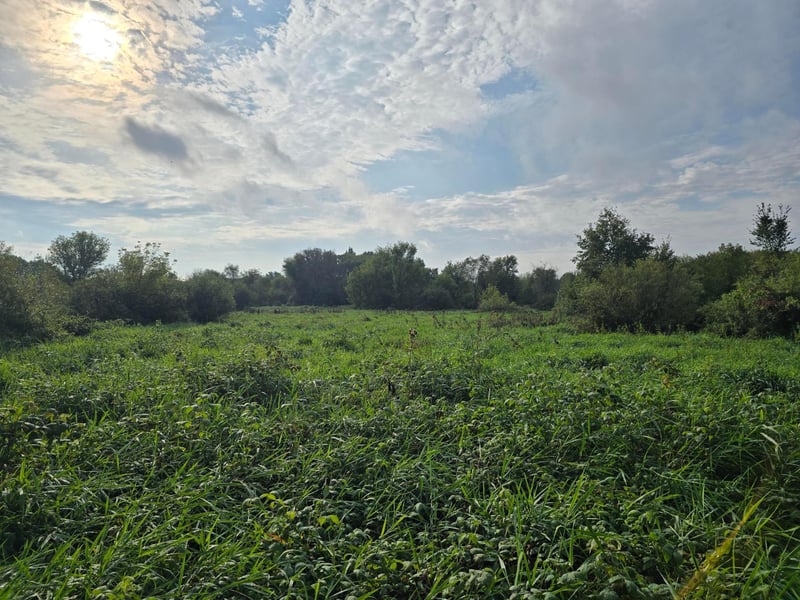 TBD Tbd, Ham Lake, MN 55304
