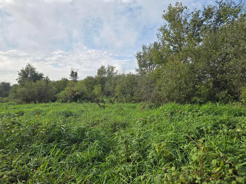 TBD Tbd, Ham Lake, MN 55304