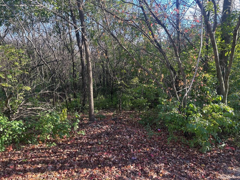 TBD 438th St, Harris, MN 55032