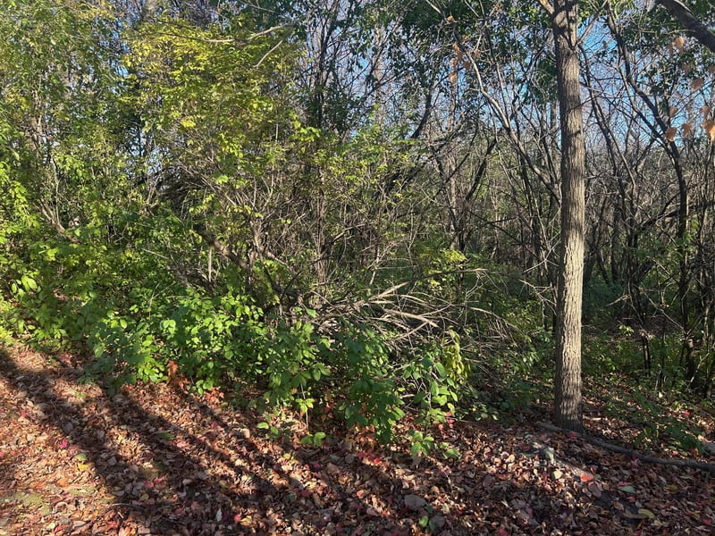 TBD 438th St, Harris, MN 55032