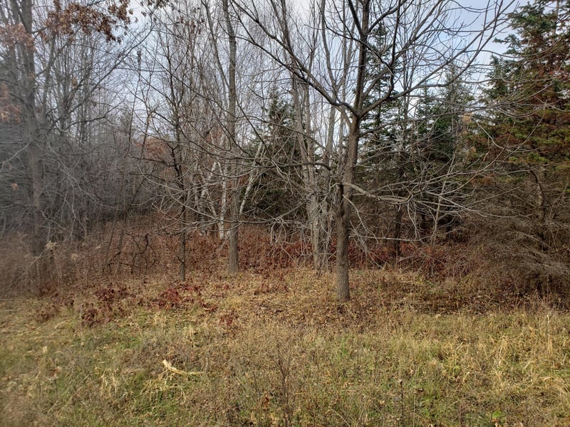 Lot 2 - 3 County Road M / 202nd St, Star Prairie, WI 54026