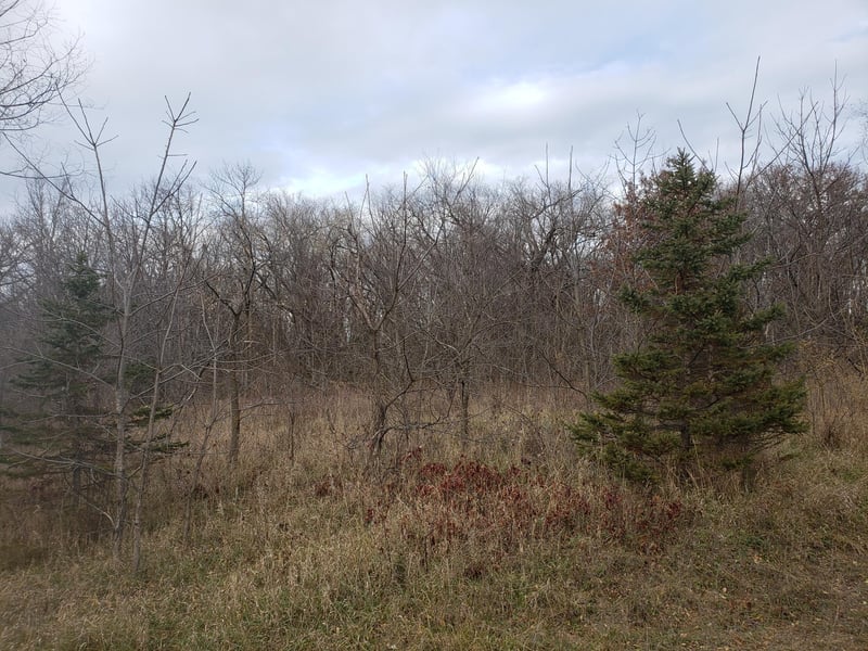 Lot 2 - 3 County Road M / 202nd St, Star Prairie, WI 54026