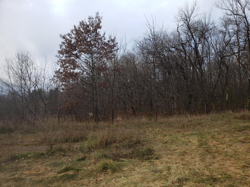 Lot 2 - 3 County Road M / 202nd St, Star Prairie, WI 54026