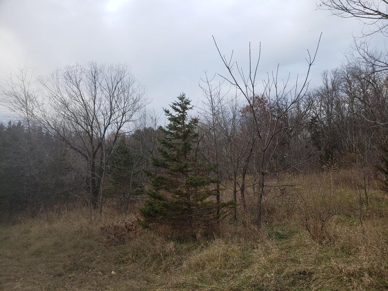 Lot 2 - 3 County Road M / 202nd St, Star Prairie, WI 54026