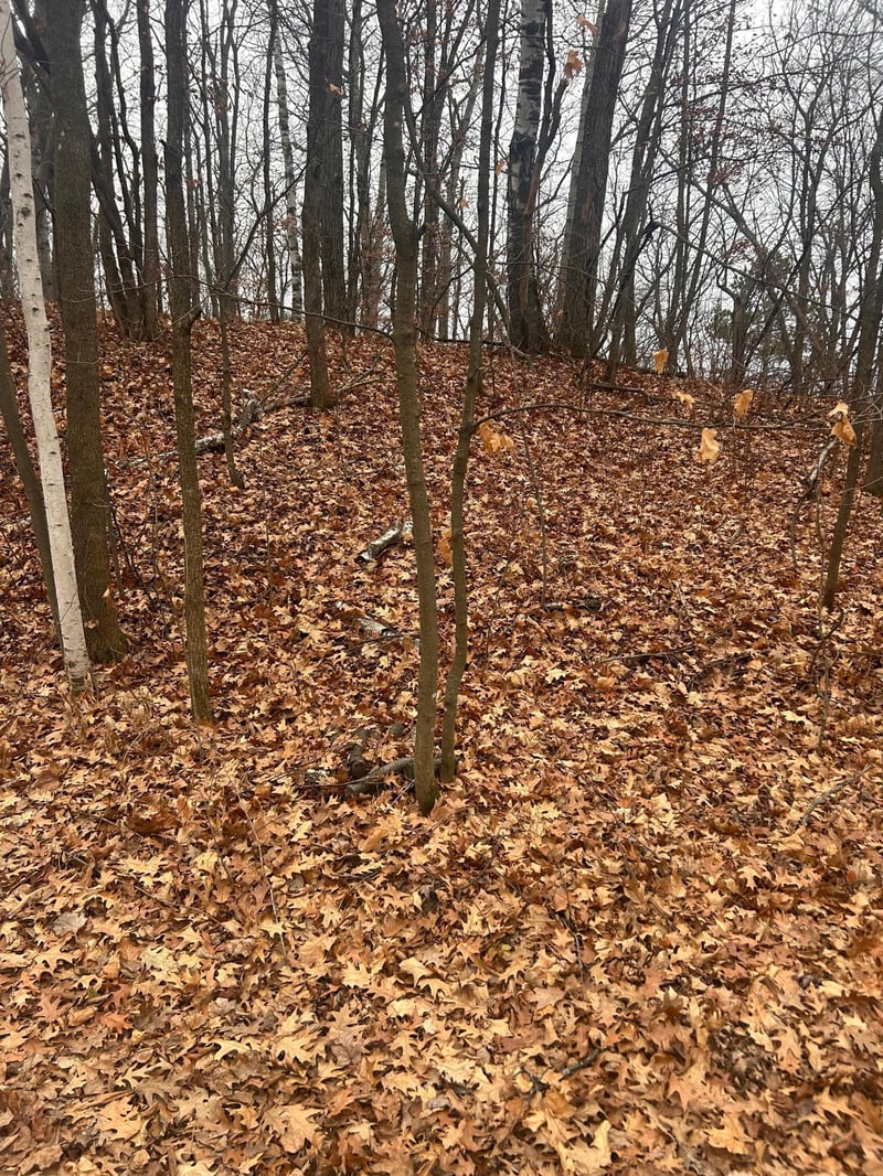 TBD Golf Course Cir, Cushing, MN 56443