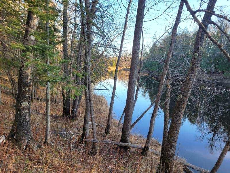 XXX Rapid River, Baudette, MN 56623