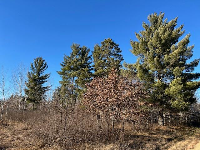 TBD NW 36th St, Akeley, MN 56433