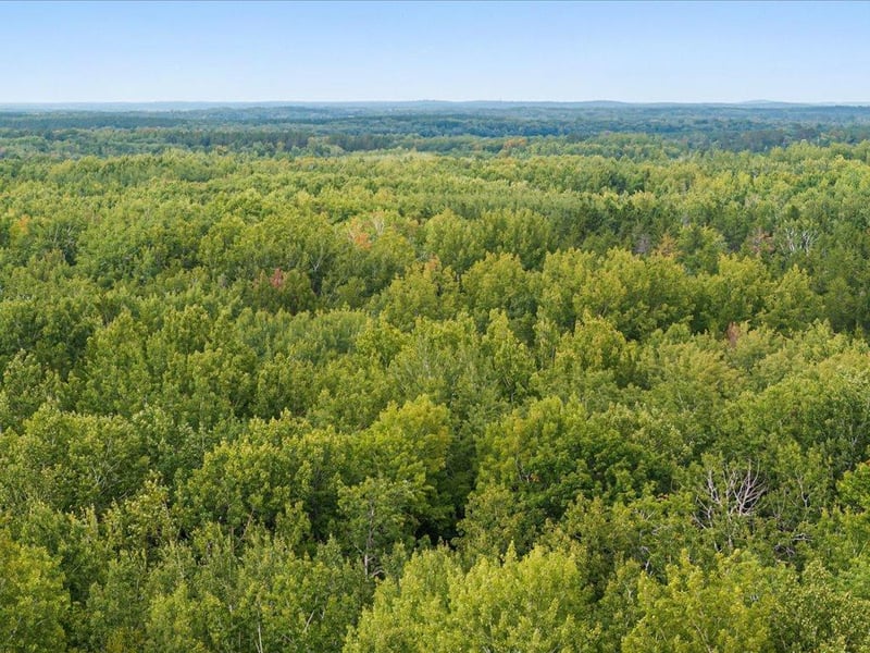 Lot B Sandbar Ln, Merrifield, MN 56465