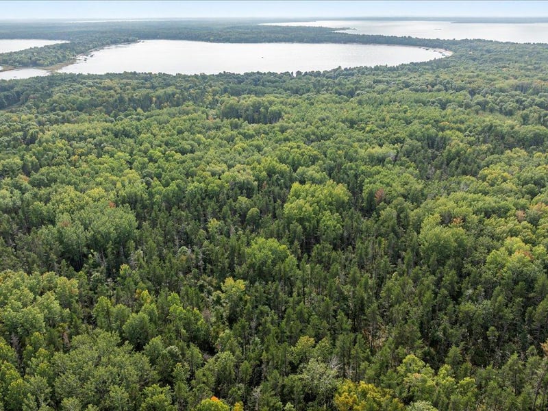 Lot B Sandbar Ln, Merrifield, MN 56465