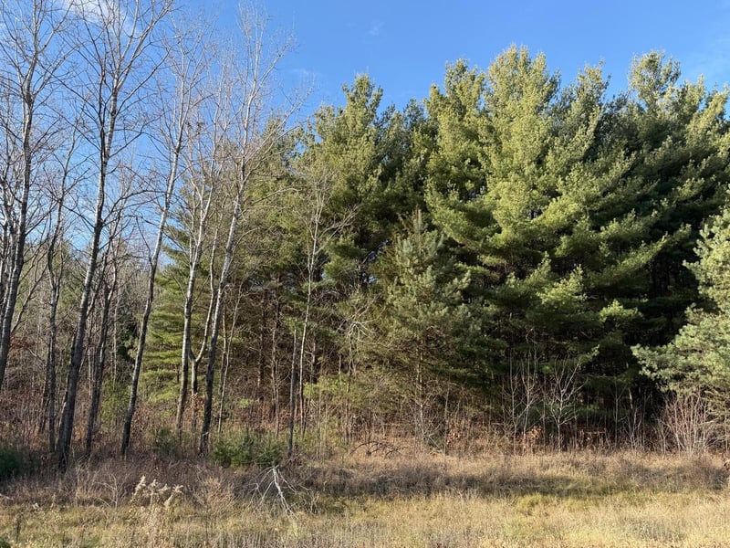 0 177th St NW, Big Lake, MN 55309