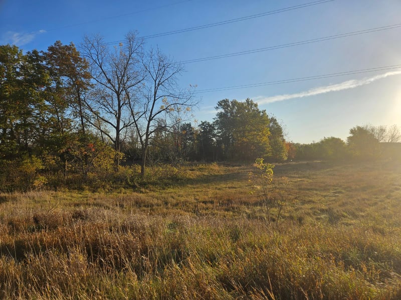 xxx County Road 24 & 63rd Ave, Cannon Falls, MN 55009
