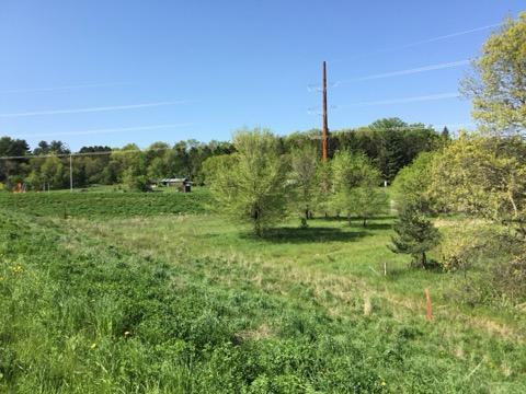 xxx County Road 24 & 63rd Ave, Cannon Falls, MN 55009