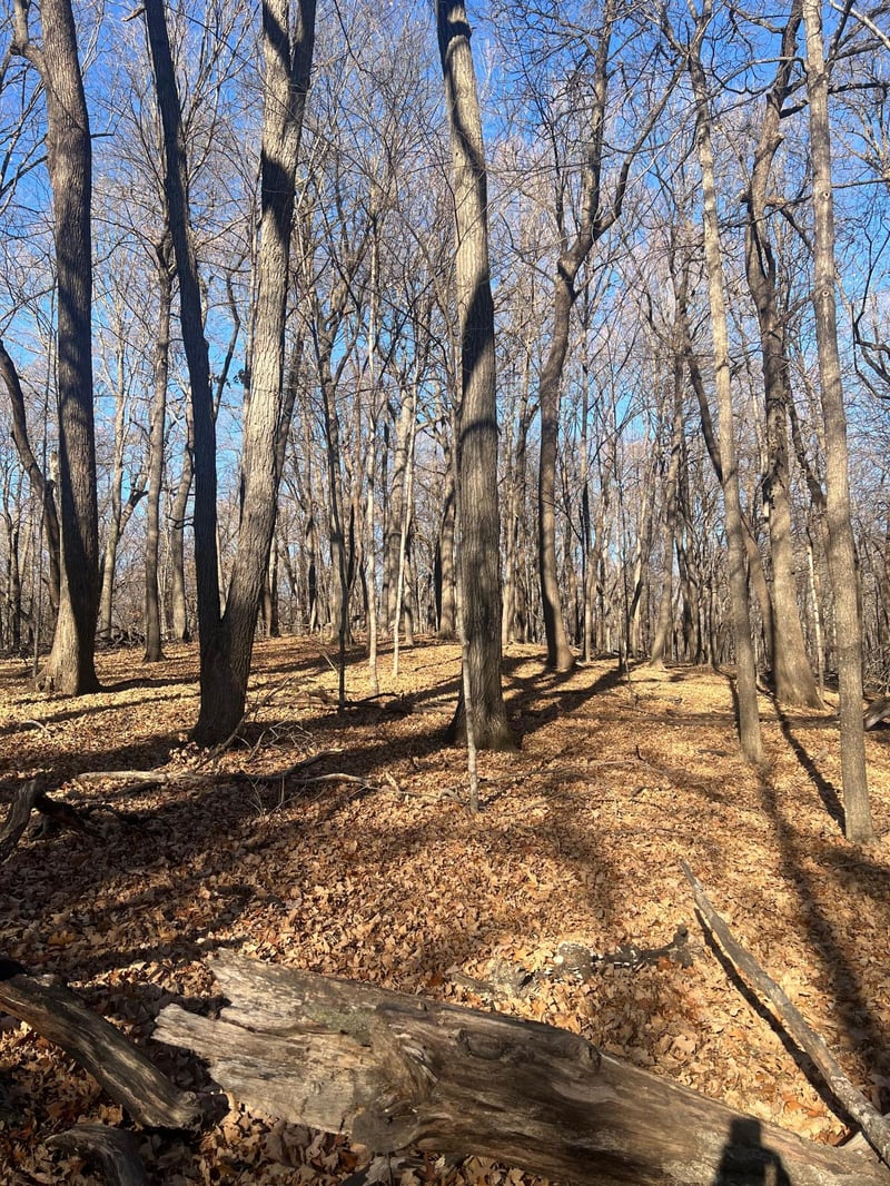 TBD Moe Hall Rd NW, Garfield, MN 56332