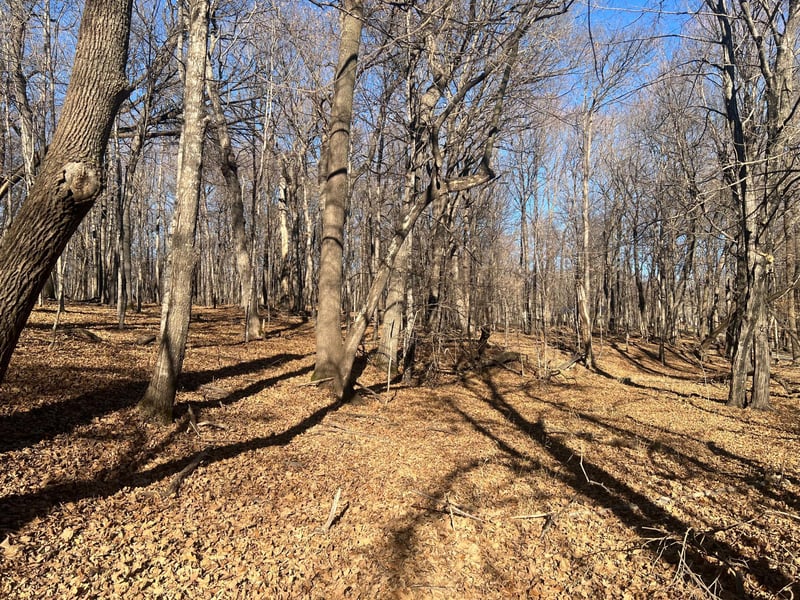 TBD Moe Hall Rd NW, Garfield, MN 56332