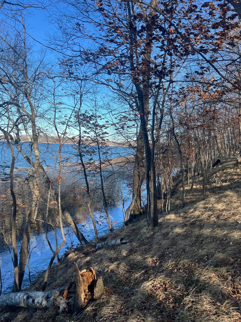 TBD Moe Hall Rd NW, Garfield, MN 56332