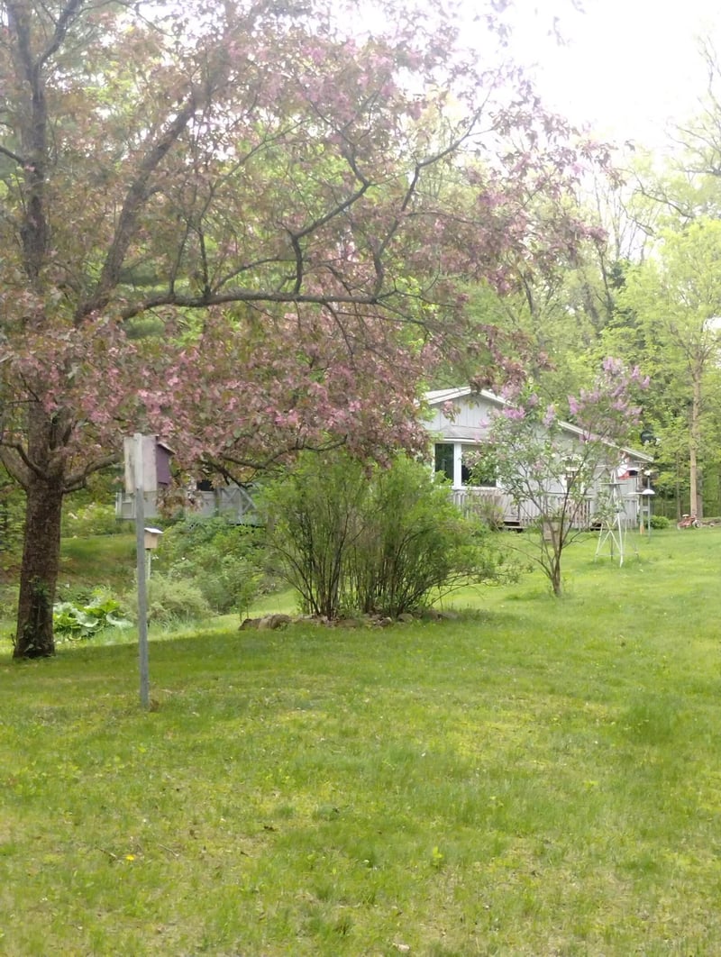 28153 E Hardwood Ln, Brook Park, MN 55007