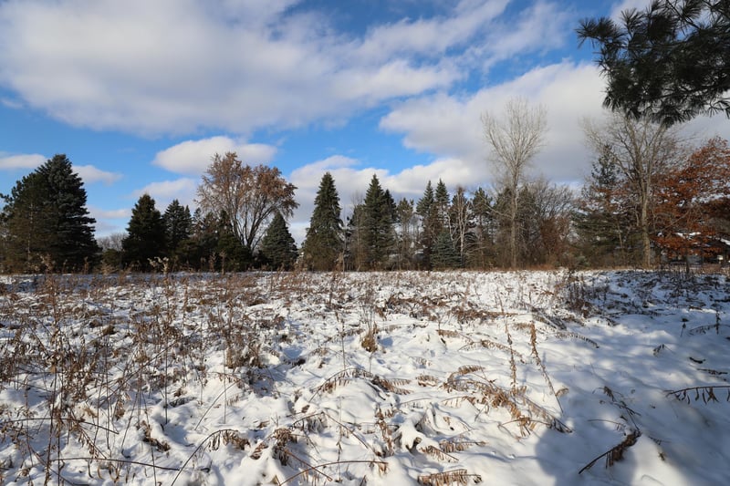 2 Spring Marsh Ln, North Oaks, MN 55127