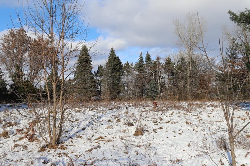 2 Spring Marsh Ln, North Oaks, MN 55127