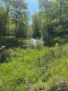 15370 Mallard, Brook Park, MN 55007