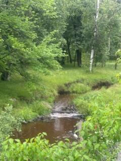 15370 Mallard, Brook Park, MN 55007