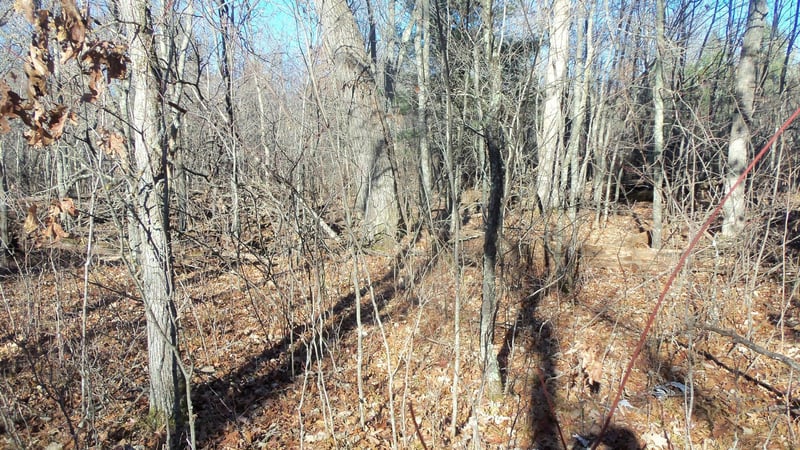 Lot 2 Ferry Rd, Grantsburg, WI 54840