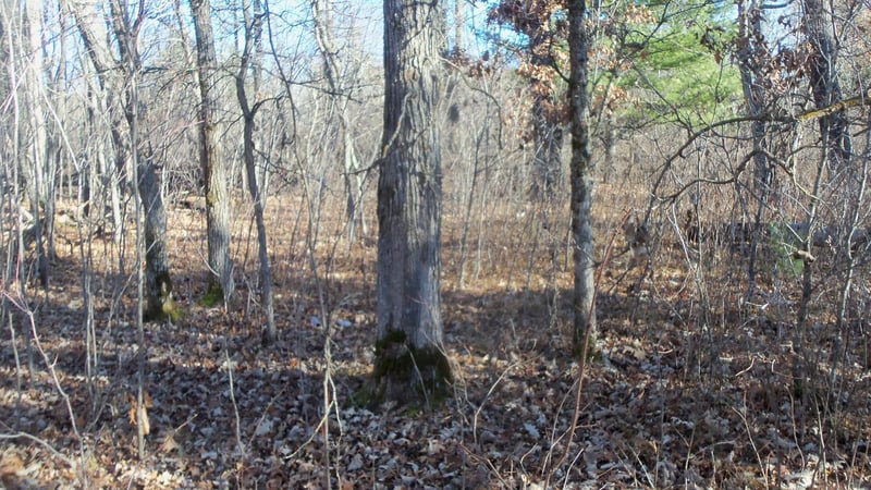 Lot 2 Ferry Rd, Grantsburg, WI 54840