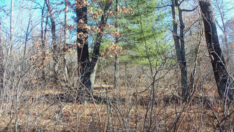 Lot 2 Ferry Rd, Grantsburg, WI 54840
