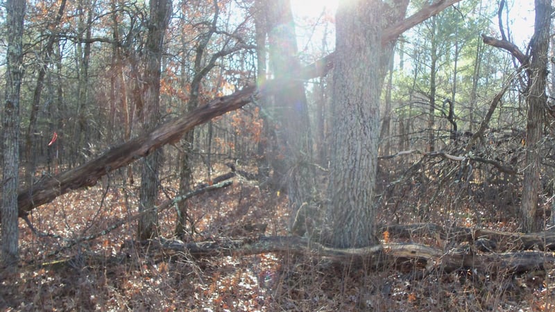 Lot 3 Ferry Rd, Grantsburg, WI 54840
