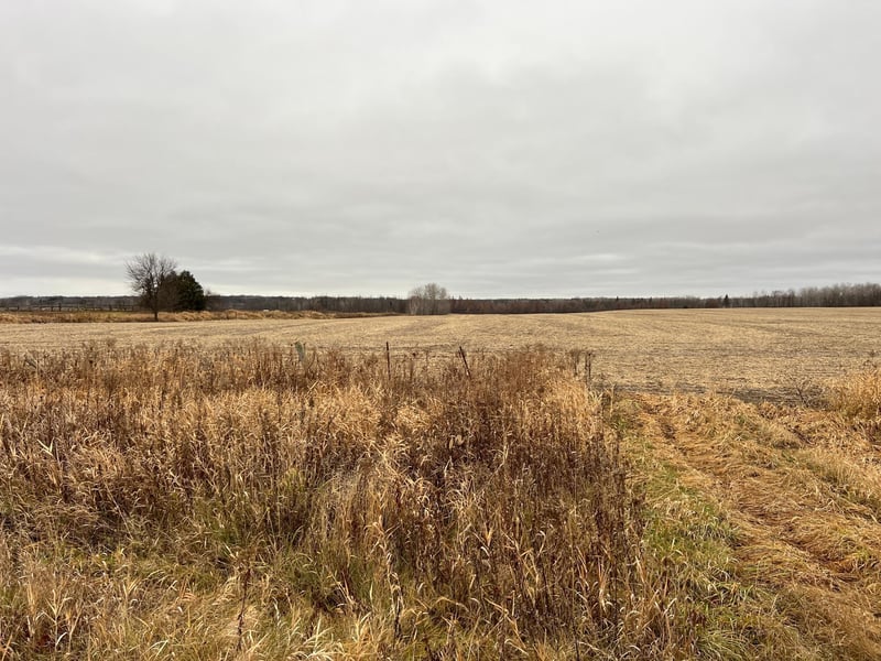 000 Wildwood Rd, Brook Park, MN 55007