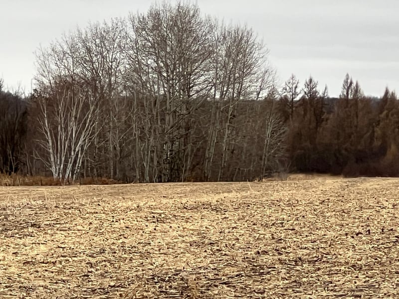 0000 Wildwood Rd, Brook Park, MN 55007