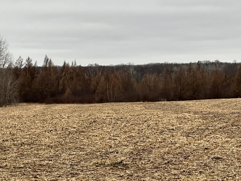 0000 Wildwood Rd, Brook Park, MN 55007
