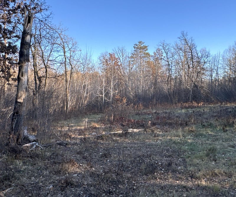 TBD Pow Rd, Springbrook, WI 54875