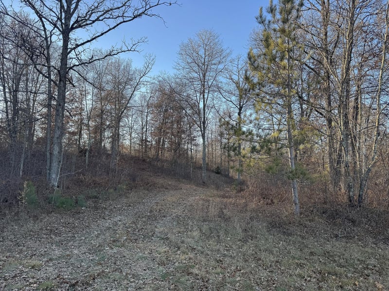 TBD Pow Rd, Springbrook, WI 54875
