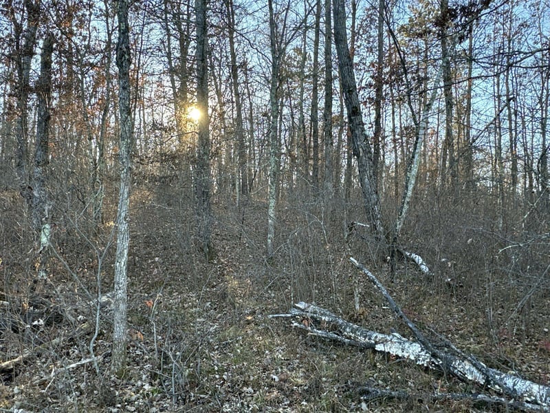 TBD Pow Rd, Springbrook, WI 54875