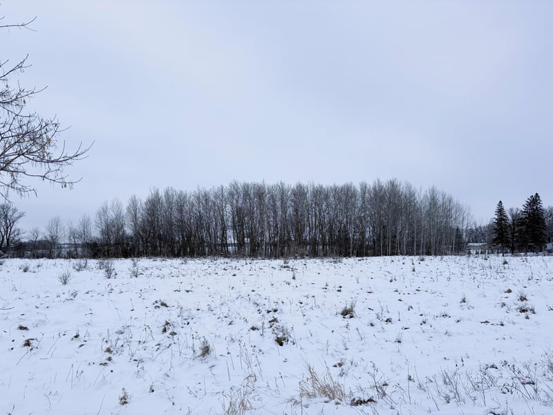 Lot 1 Old Fergus Rd SW, Pelican Rapids, MN 56572