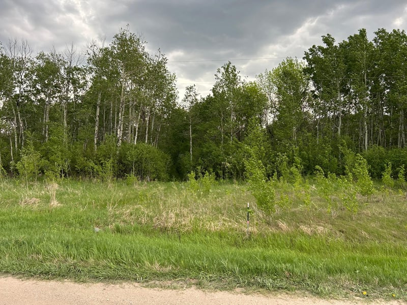 TBD 160th St NE, Thief River Falls, MN 56701