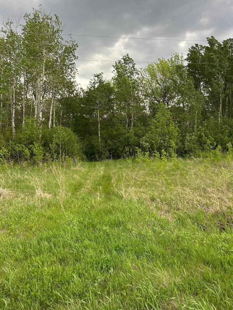 TBD 160th St NE, Thief River Falls, MN 56701