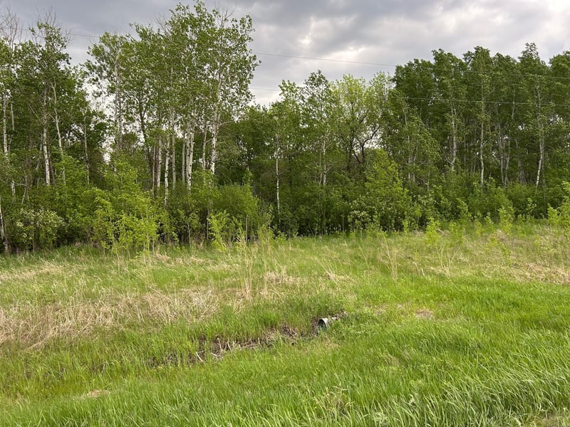 TBD 160th St NE, Thief River Falls, MN 56701