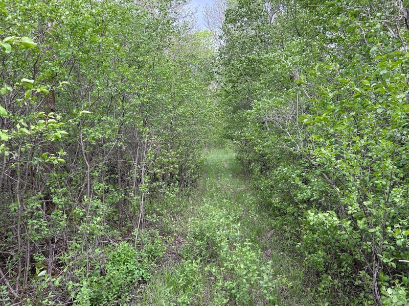 TBD 160th St NE, Thief River Falls, MN 56701
