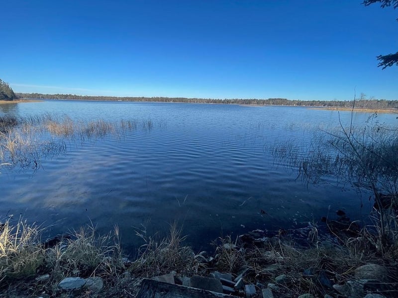 31355 Two Inlets Dr, Park Rapids, MN 56470