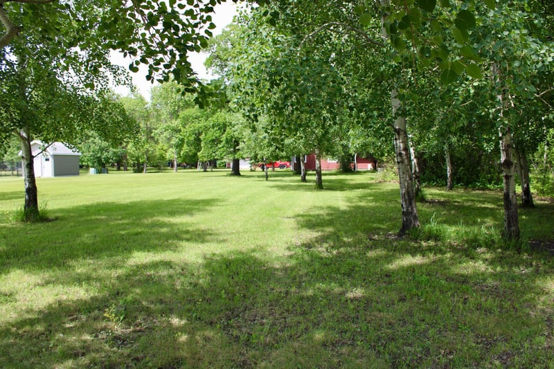 401 Robson Ct, Thief River Falls, MN 56701