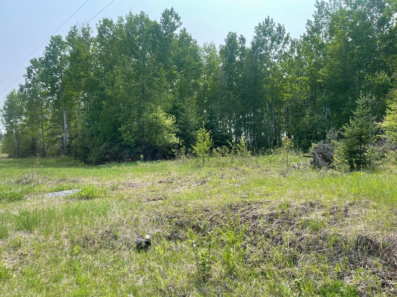 8017 N Savanna Rd, Floodwood, MN 55736