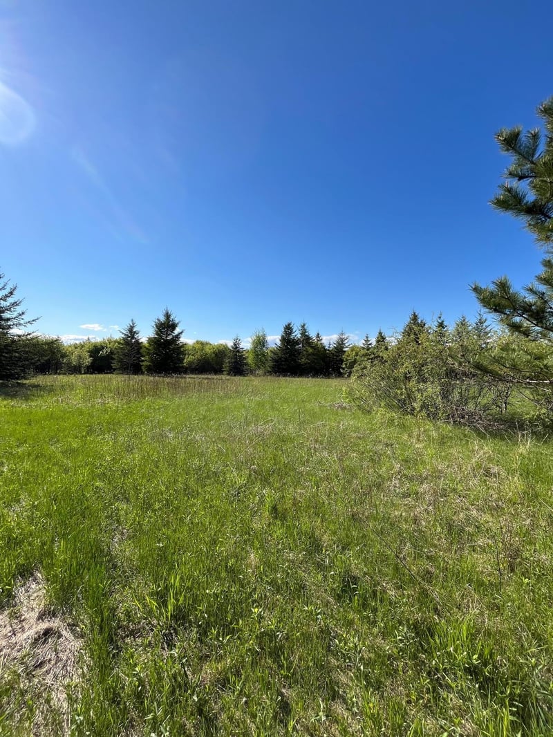 Lot 3 - TBD 330th St, Warroad, MN 56763