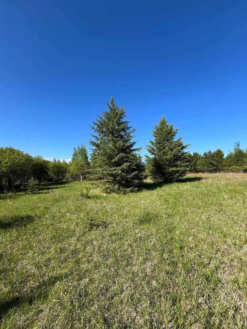 Lot 3 - TBD 330th St, Warroad, MN 56763