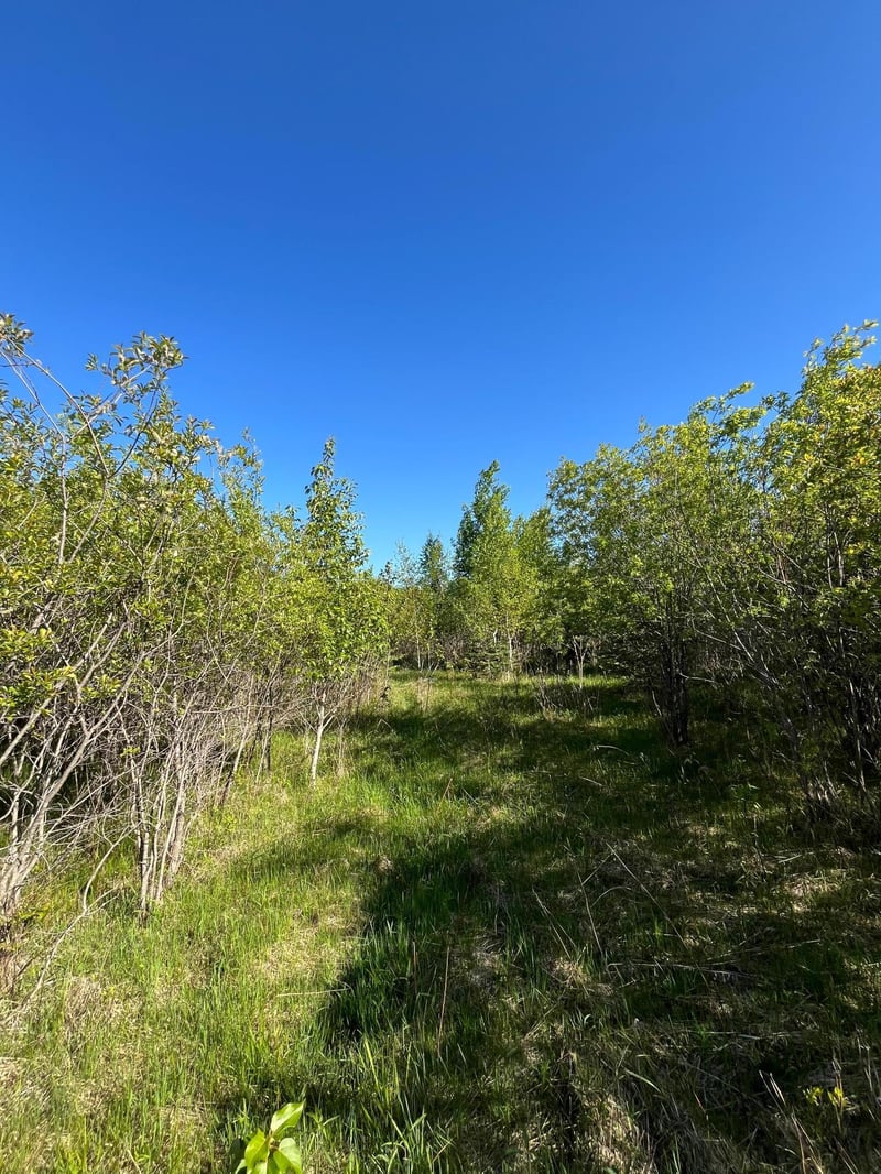 Lot 3 - TBD 330th St, Warroad, MN 56763