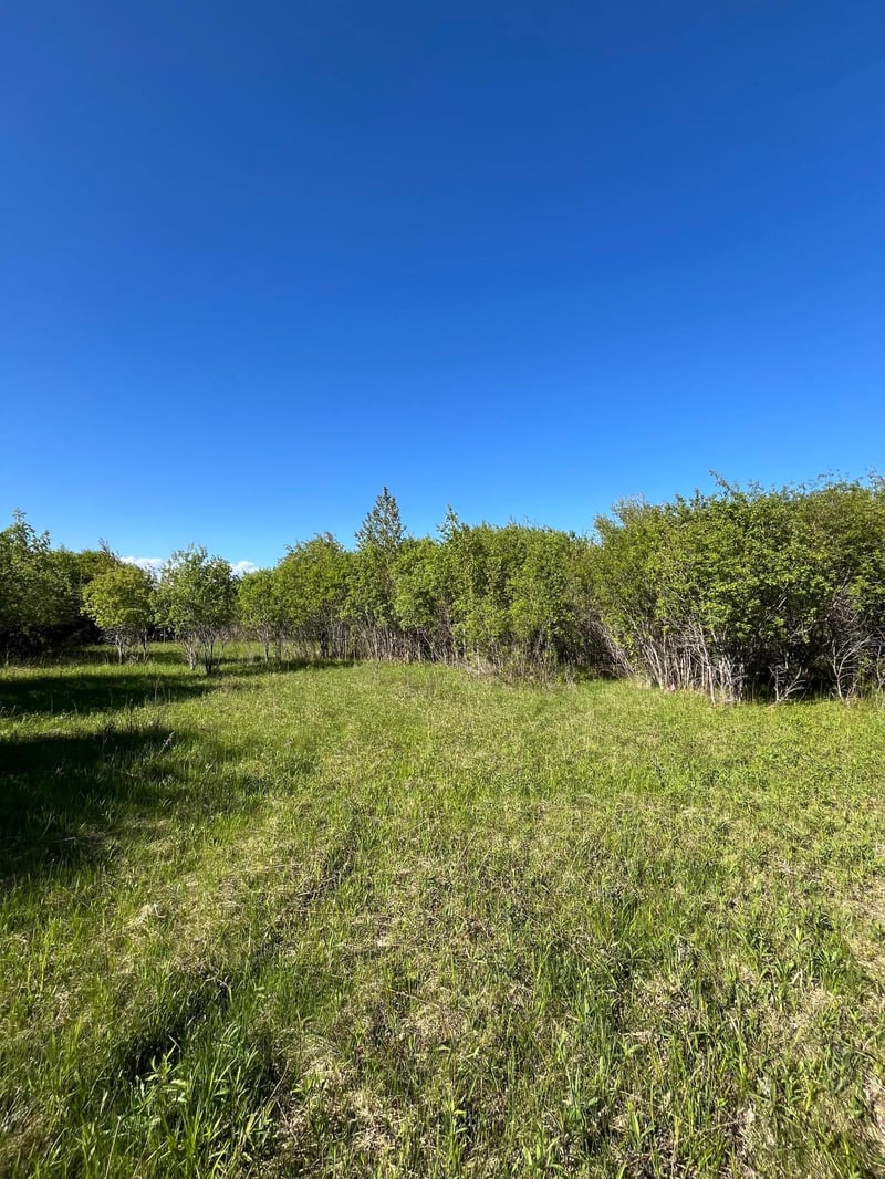 Lot 3 - TBD 330th St, Warroad, MN 56763